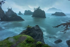 17-05-13_X-Pro2_8834