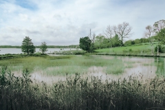 17-11-02_X-Pro2_0885