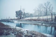 17-12-09_X-Pro2_2607