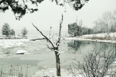 18-01-17_X-Pro2_3472