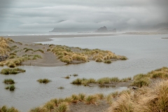 Grasses and Tidal Pool