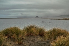 Grasses and Tidal Pool