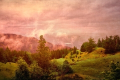 Overlooking the Pacific Ocean from Myer's Creek.  Layers of ground fog rising matched by ocean fog and clouds.  Photograph by Rick Martorano