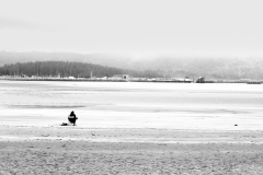 22-06-01_X-Pro3_4384