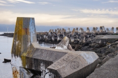 22-06-01_X-Pro3_4409