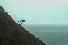 22-06-05_X-Pro3_4532