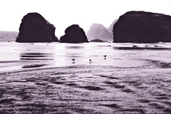 22-06-09_X-Pro3_4892