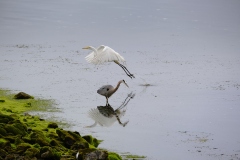 Photograph by Rick Martorano