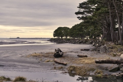 23-01-21_X-Pro2_7182