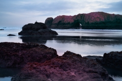 23-02-20_Leica-SL2_1040437