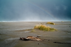 23-02-22_Leica-SL2_1040542