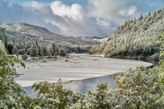 23-02-23_Leica-SL2_1040586