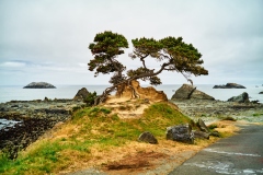 23-06-08_LEICA-SL2_1010271