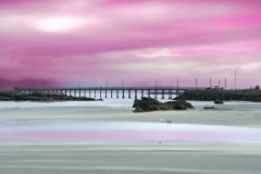 Blues and Purples at Battery Point Park