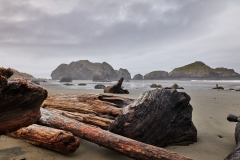 Driftwood and Seastacks at Myers Creek 1