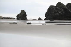 Giants and Dwarfs at Meyers Creek