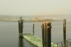 Heron Overlooks HIs Domain