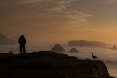 Photographer Overlooking Meyers Creek Beech