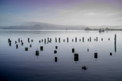 Quiet Morning at Isthmus Slough 2