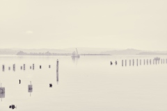 Quiet Morning at Isthmus Slough