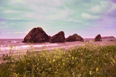 Seastacks In color At Myers Creek