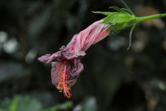 Use Prohibitted without Permission