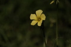 16-12-22_X-Pro2_7273