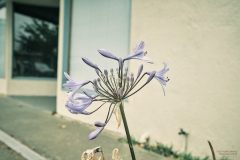 Photograph by Rick Martorano