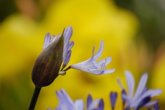 Photograph by Rick Martorano