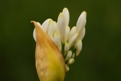 Photograph by Rick Martorano