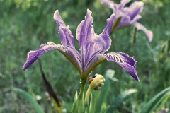 23-05-21_Leica-SL2_1000228