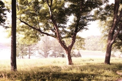 Photograph by Rick Martorano