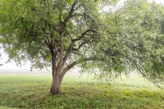 Photograph by Rick Martorano