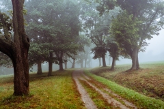 Photograph by Rick Martorano