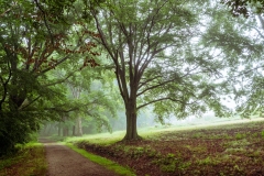 Photograph by Rick Martorano