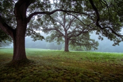 Photograph by Rick Martorano