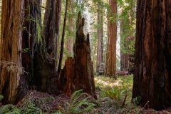 23-04-13_Leica-SL2_1050524