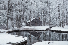 Wintery Scene at Island Grove