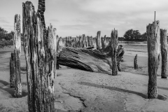 16-04-01_X100S_628