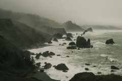 16-11-09_X-Pro2_6760