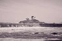 1_24-01-25_M10M1139