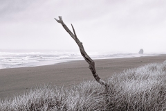 Use Prohibitted without Permission