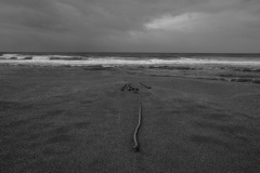 Use Prohibitted without Permission