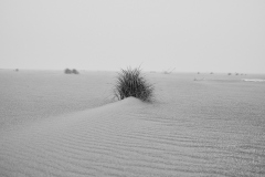 Use Prohibitted without Permission