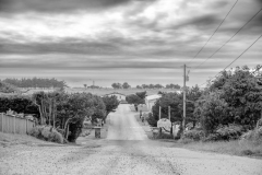 22-06-09_X-Pro3_4663