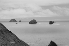 22-07-07_X-Pro3_5140