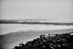 22-08-14_X-Pro3_5351