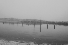 22-10-12_X-Pro3_6668