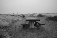 22-12-21_X-Pro2_6921