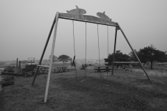 22-12-21_X-Pro3_6929